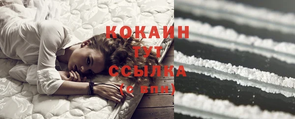 крисы Алзамай