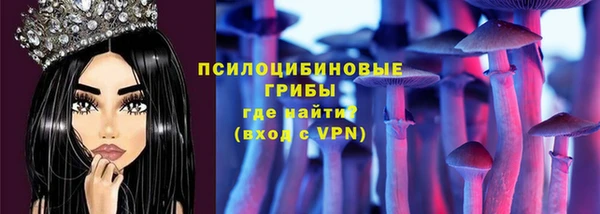 бошки Алексин