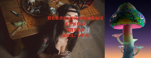 ГАЛЛЮЦИНОГЕННЫЕ ГРИБЫ Алексеевка