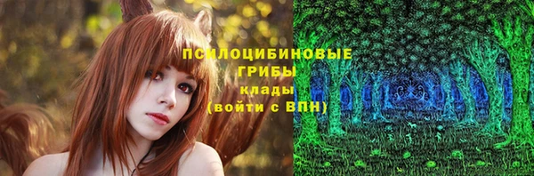 a pvp Абаза